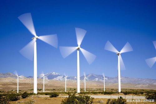 風(fēng)車之辯 正視風(fēng)力發(fā)電的利弊平衡